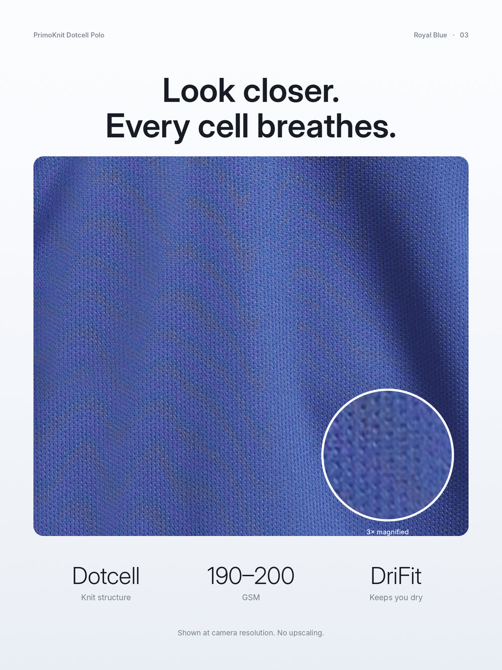 PrimoKnit Dotcell Polo - Royal Blue with White Tipping – Close-up